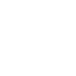 Psicólogo