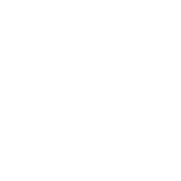 Técnico