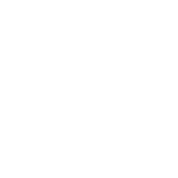 Veterinario