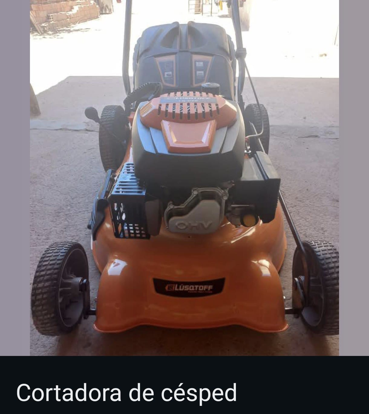 Imagen 21